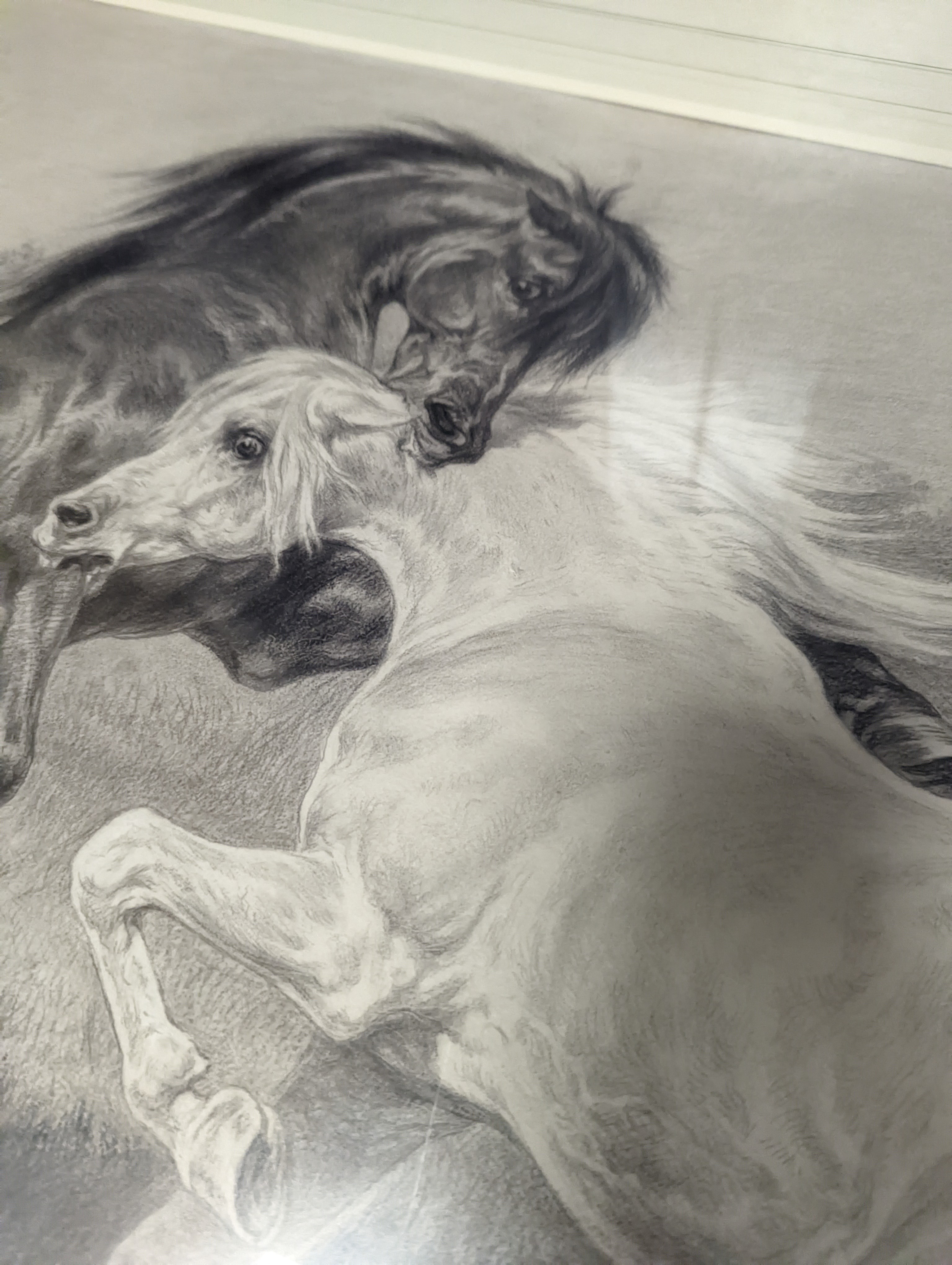 Rosa Bonheur (1822-1899), charcoal and chalk, Stallion and mare, signed and dated 1896, 52 x 84cm